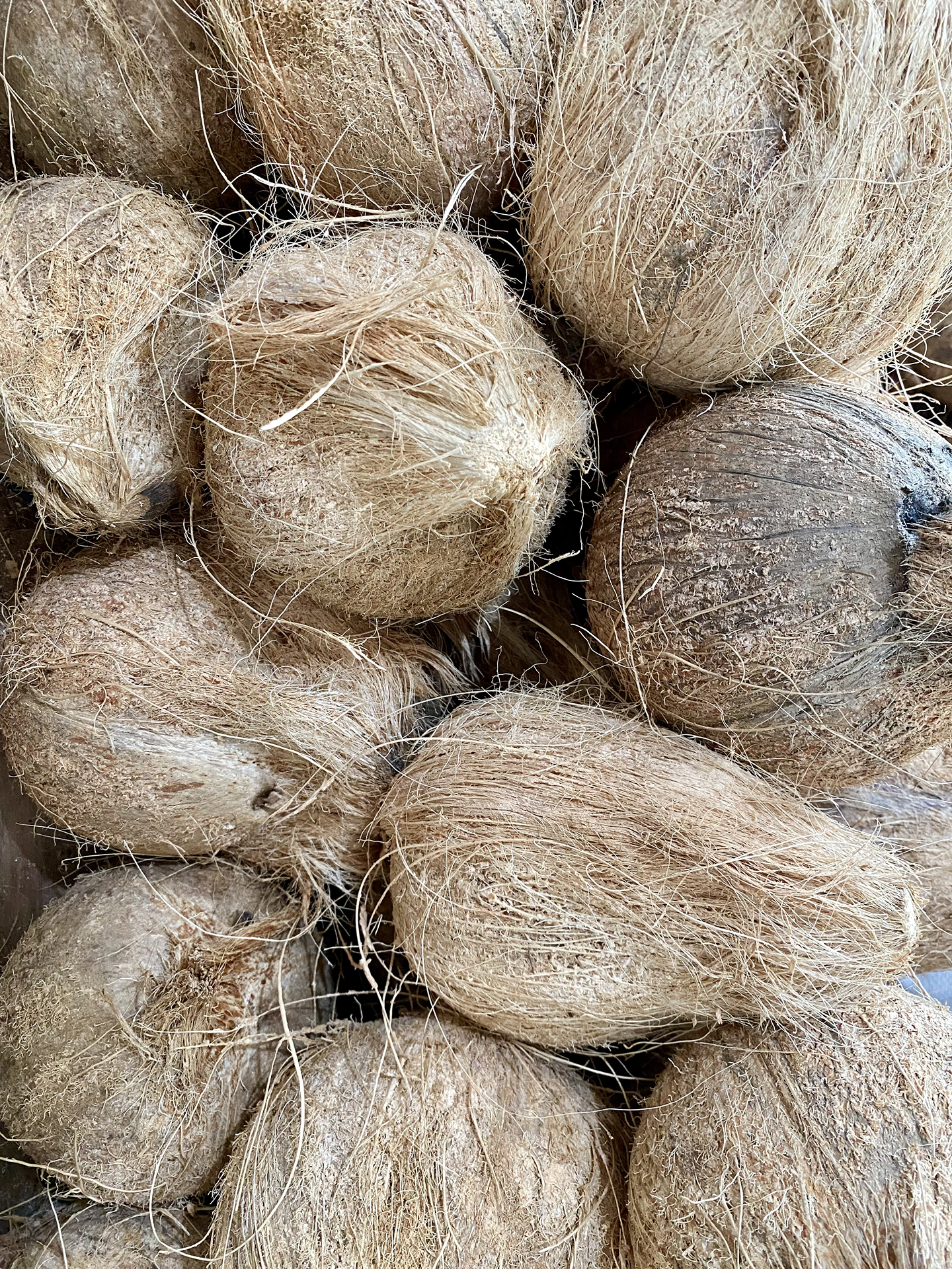 Raw Coconut (Domestic)